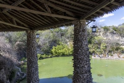 Japanese Garden San Antonio March 2025